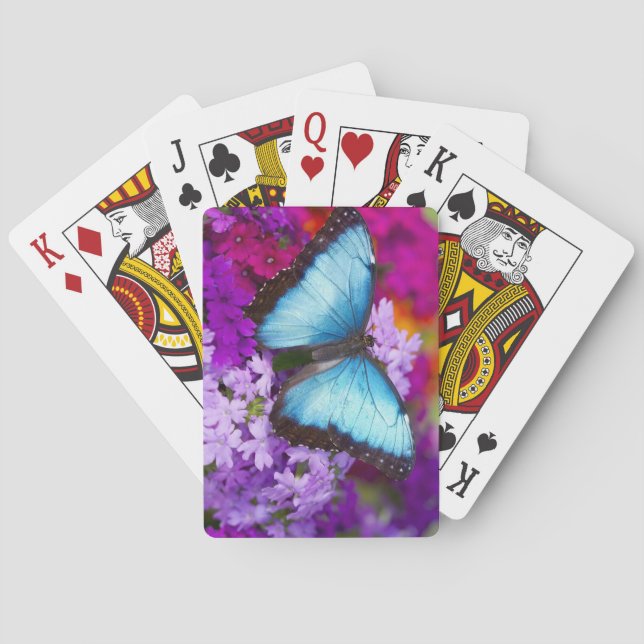 Baraja De Cartas Sammamish Washington Tropical Butterfly (Reverso)