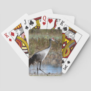 Baraja De Cartas Sandhill Crane