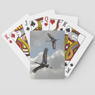 BARAJA DE CARTAS SANDHILL CRANES