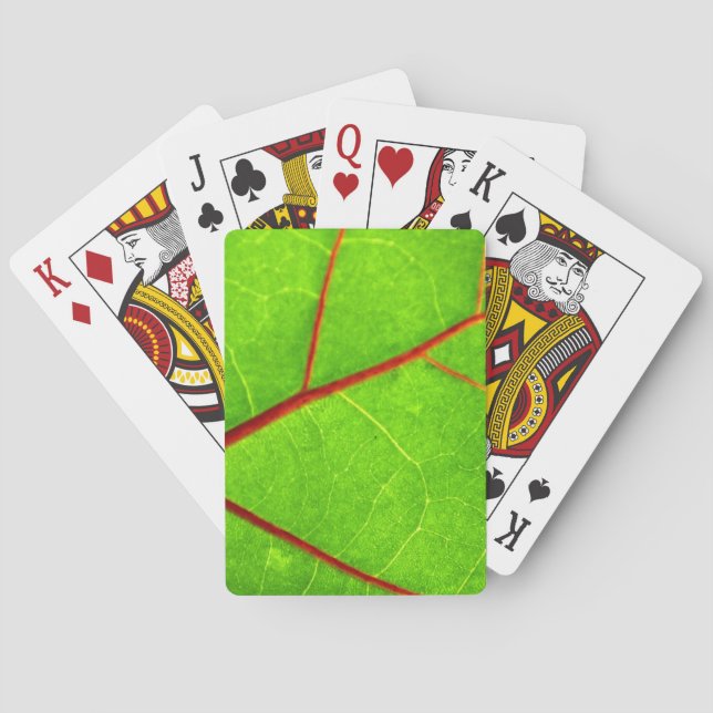 Baraja De Cartas Santo Tomás 1 (Reverso)