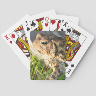 Baraja De Cartas Sapo