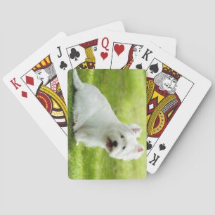 Baraja De Cartas scottish terrier