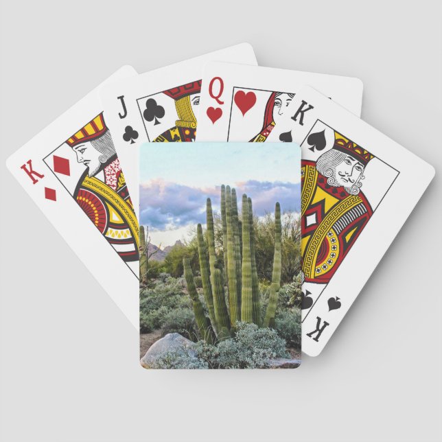 Baraja De Cartas Scottsdale Succulent Sunset (Reverso)