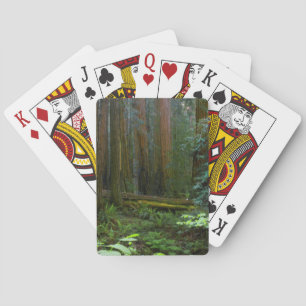 Baraja De Cartas Secuoyas en el Parque Nacional Muir Woods