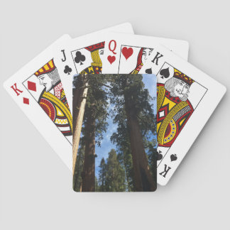 Baraja De Cartas Secuoyia gigante