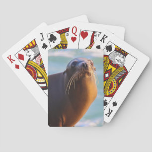 Baraja De Cartas Sello 1- ¡Lo que miras!