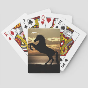 Baraja De Cartas Semental en puesta del sol
