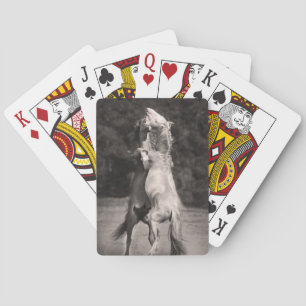 Baraja De Cartas Sementales del baile