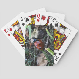 Baraja De Cartas Señora