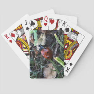 Baraja De Cartas Señora