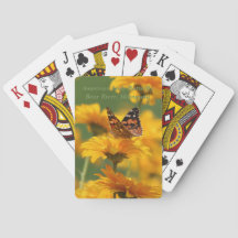 Señora americana Butterfly en Heliopsis