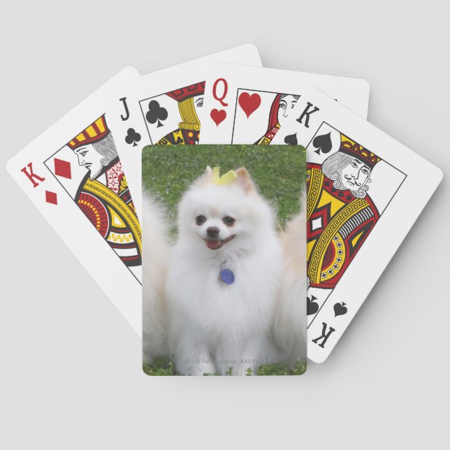 Baraja De Cartas Sentada de 3 Pomeranians (Reverso)