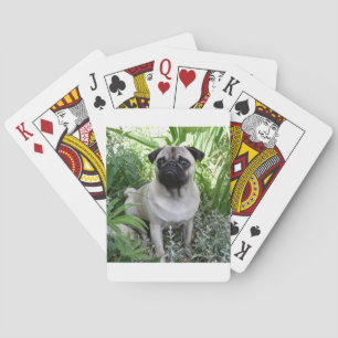 Baraja De Cartas sentada de puño