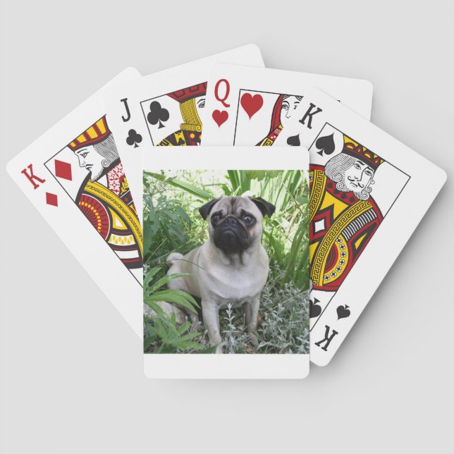 Baraja De Cartas sentada de puño (Reverso)