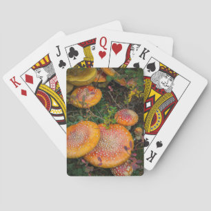 Baraja De Cartas Setas amanita muscaria en el lago Mowich