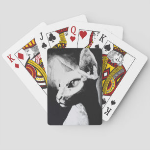 Baraja De Cartas Sfinx Cat Black Kitty Animal Retrato Art