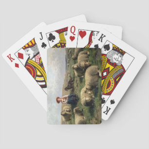 Baraja De Cartas Shepherdess con las ovejas en un paisaje