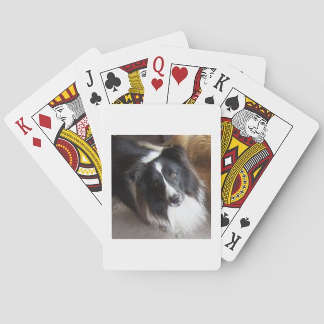 Baraja De Cartas Shetland Sheepdog Black and White (Reverso)