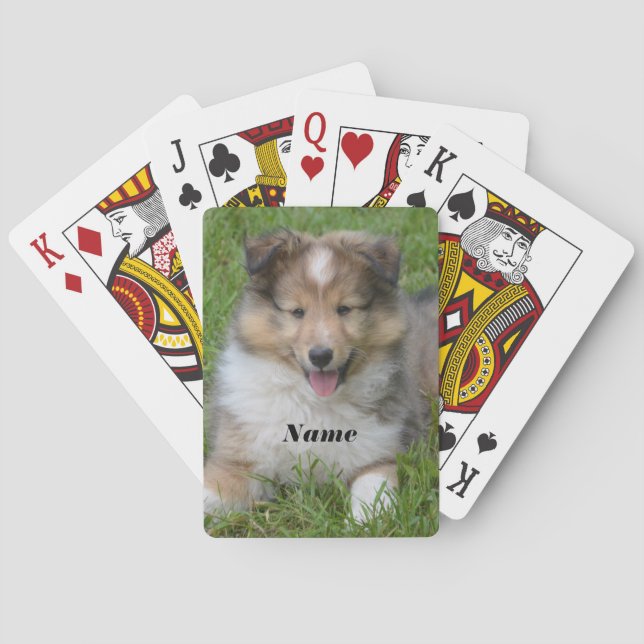 Baraja De Cartas Shetland Sheepdog - Perro de cachorro Sheltie (Reverso)
