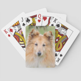 Baraja De Cartas Shetland Sheepdog - Sheltie Dog