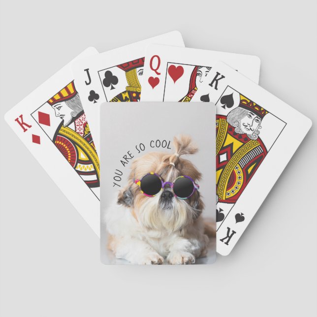 Baraja De Cartas Shih Tzu Eres tan guapo de Guay. (Reverso)