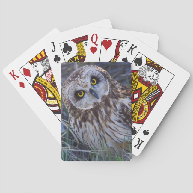 Baraja De Cartas Short-eared Owl (Reverso)