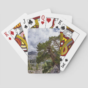 Baraja De Cartas Sierra Juniper y árboles de hoja perenne