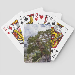 Baraja De Cartas Sierra Juniper y Árboles Eververdes