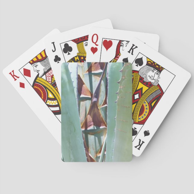 Baraja De Cartas Siglo o Agave (Reverso)