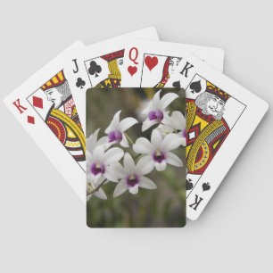 Baraja De Cartas Singapur (sánscrito para Ciudad León). Nacional 2