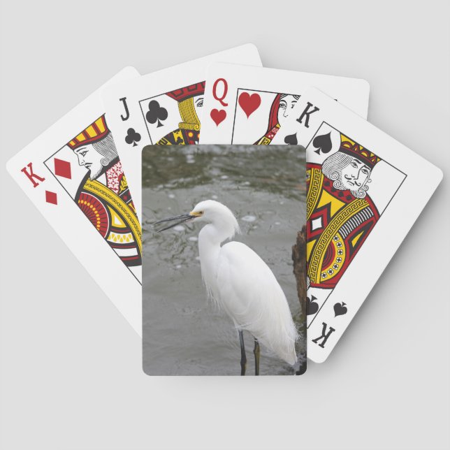 Baraja De Cartas Singing Snowy Egret (Reverso)