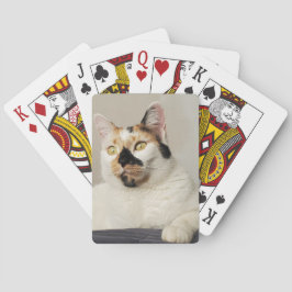 Baraja De Cartas Sissy el gato calico