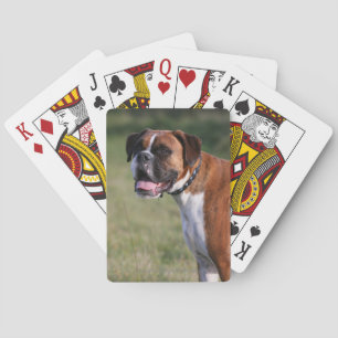 Baraja De Cartas Situación del perro del boxeador