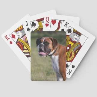 Baraja De Cartas Situación del perro del boxeador