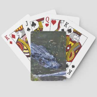 Baraja De Cartas Sombra en las aguas poco profundas