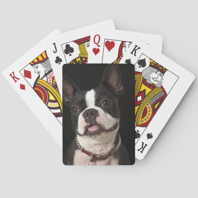 Baraja De Cartas Sonriente Boston terrier con cuello (Reverso)