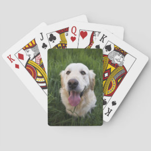 Baraja De Cartas Sonriente Golden Retriever