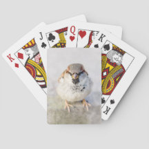 Sparrow - El guerrero