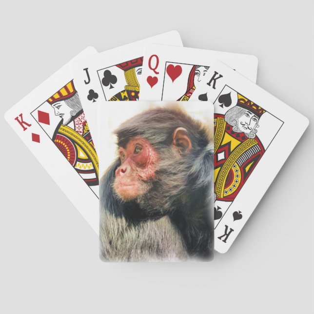 BARAJA DE CARTAS SPIDER MONKEY (Reverso)