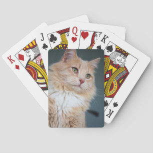 Baraja De Cartas Sr. Handsome