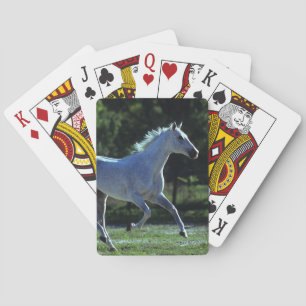 Baraja De Cartas Stallion Running