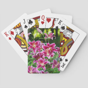 Baraja De Cartas Stargazer Lilies