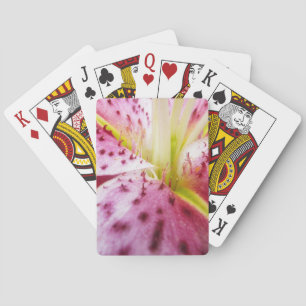 Baraja De Cartas Stargazer Lily Bright Magenta Floral