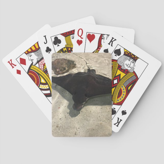 Baraja De Cartas Stingray (Reverso)