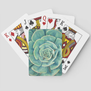 Baraja De Cartas Succulent del primer