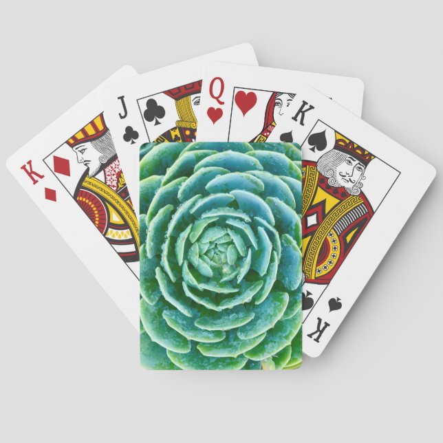 Baraja De Cartas Succulent del verde de jade (Reverso)