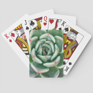 Baraja De Cartas Succulent inclinado rojo verde