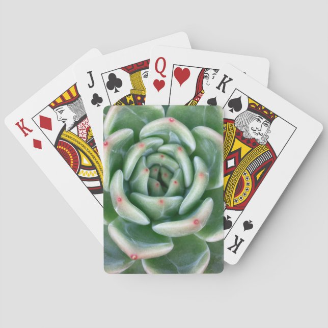 Baraja De Cartas Succulent inclinado rojo verde (Reverso)