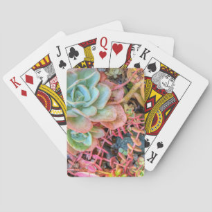 Baraja De Cartas Succulents