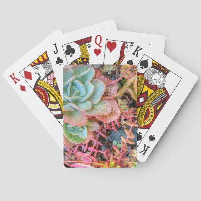 Baraja De Cartas Succulents (Reverso)
